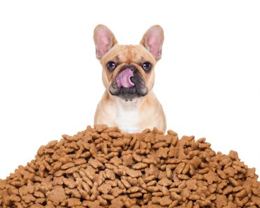 alimentos para mascotas tienda de comida seca adecuadamente