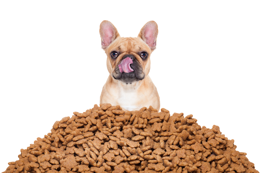 alimentos para mascotas tienda de comida seca adecuadamente