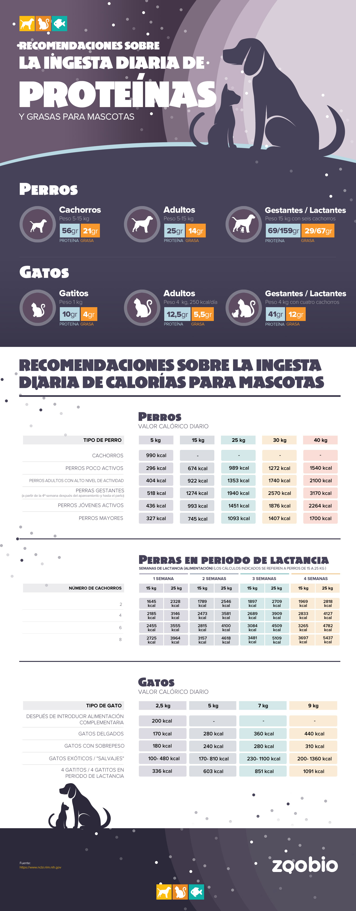 Recomendaciones sobre la ingesta diaria de calorias para mascotas. 